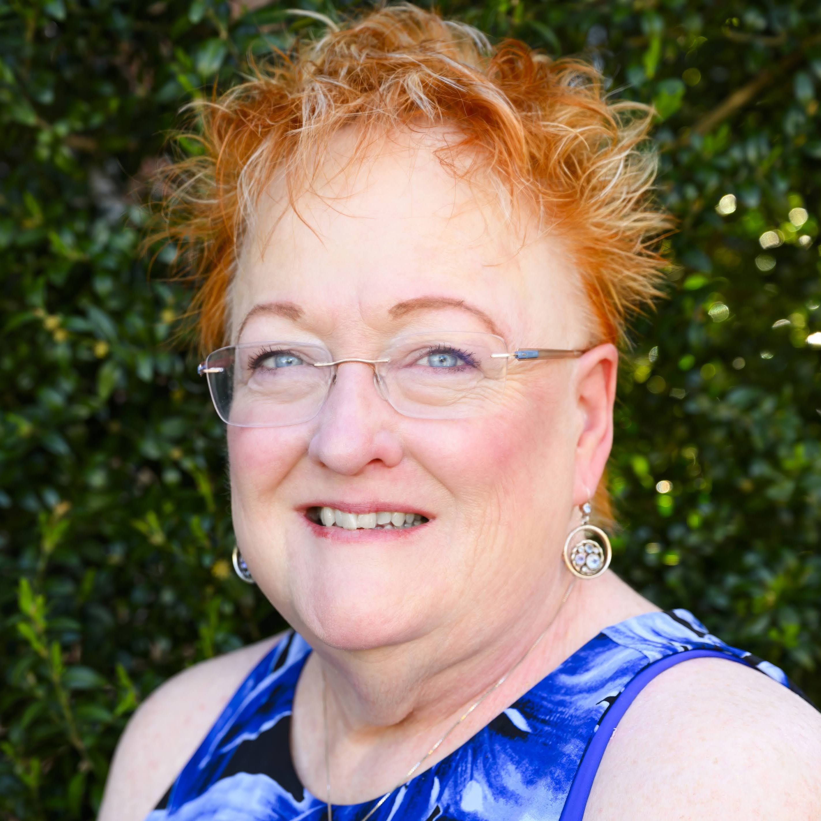 Dianne Lane - Candidate for Manassas City Council